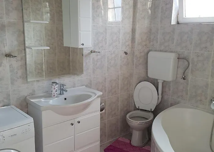 Aleksandar, Bn Centar Bijeljina